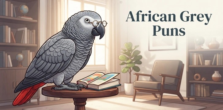 African Grey Parrot Puns